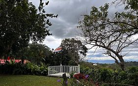 B&B Garden Grecia